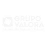 Grupo Valora